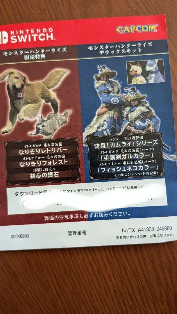 Nintendo Switch モンスターハンタースペシャルエディション