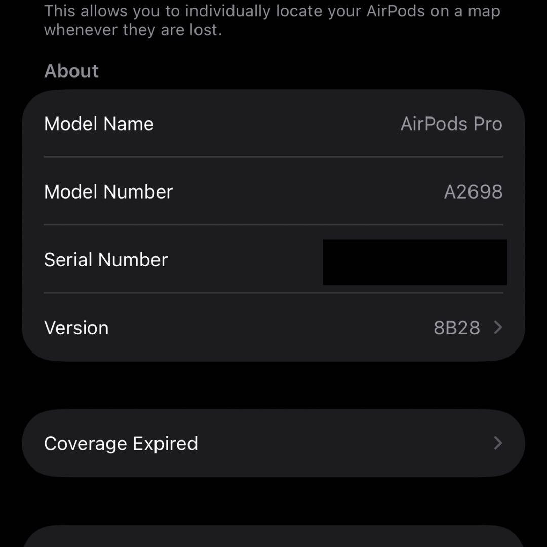 【美品】 Apple AirPods Pro 2 Lightning