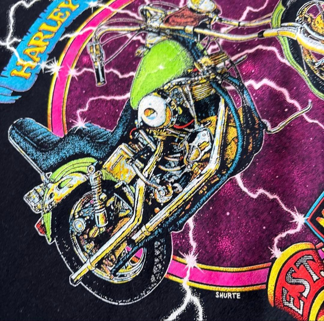 ④【状態良】Harley Davidson funwearTシャツ サンダー