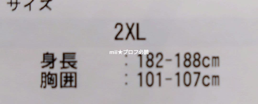 Under Armour ドラクエコラボ Tシャツ 2XLサイズ 白 1枚