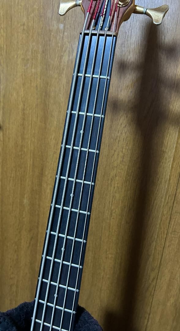 【TUNE】５弦　Bass　エレキベース『Zi-III 5』アクティブ　チューン