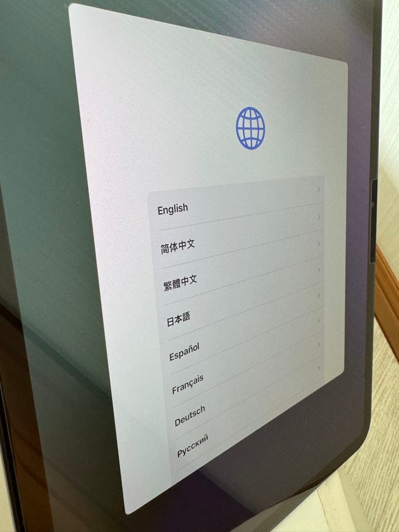 極美品　11インチ iPad Pro (M4) 本体　256gb