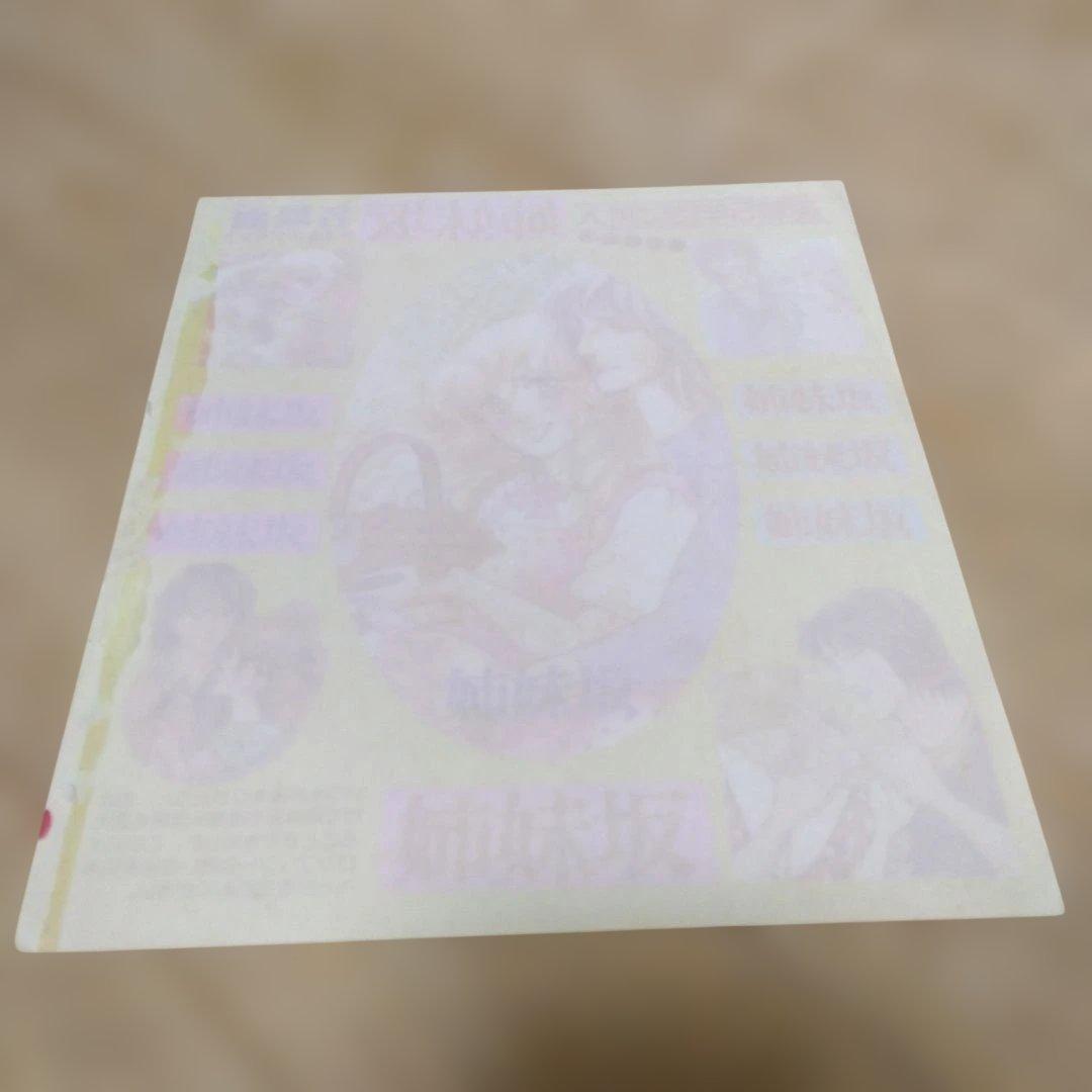 大山和栄　姉妹坂ポーチ・アイロンプリント　少女漫画全プレ　昭和レトロ　当時物