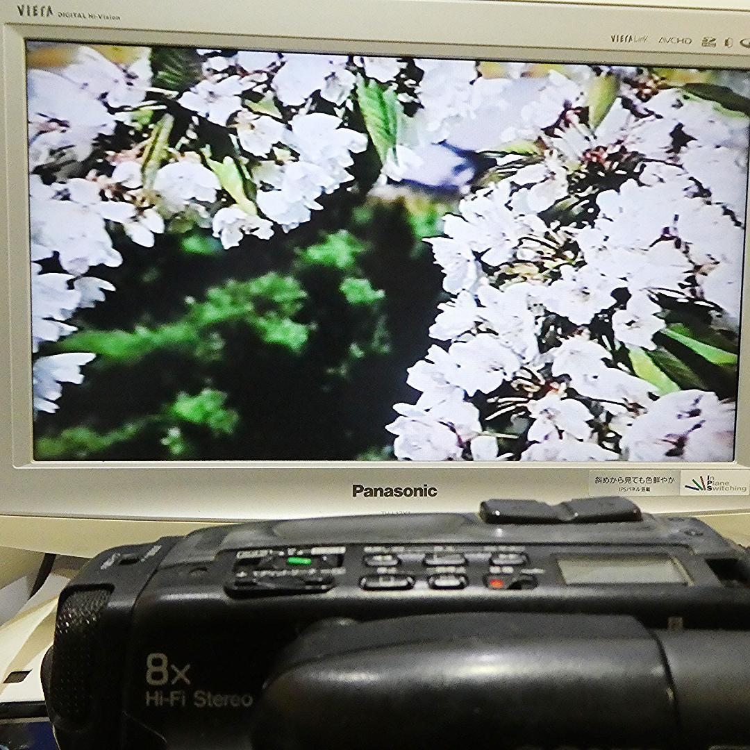 ソニーCCD-TR705 動作良好 VideoHi8ビデオカメラ　DVD化に最適