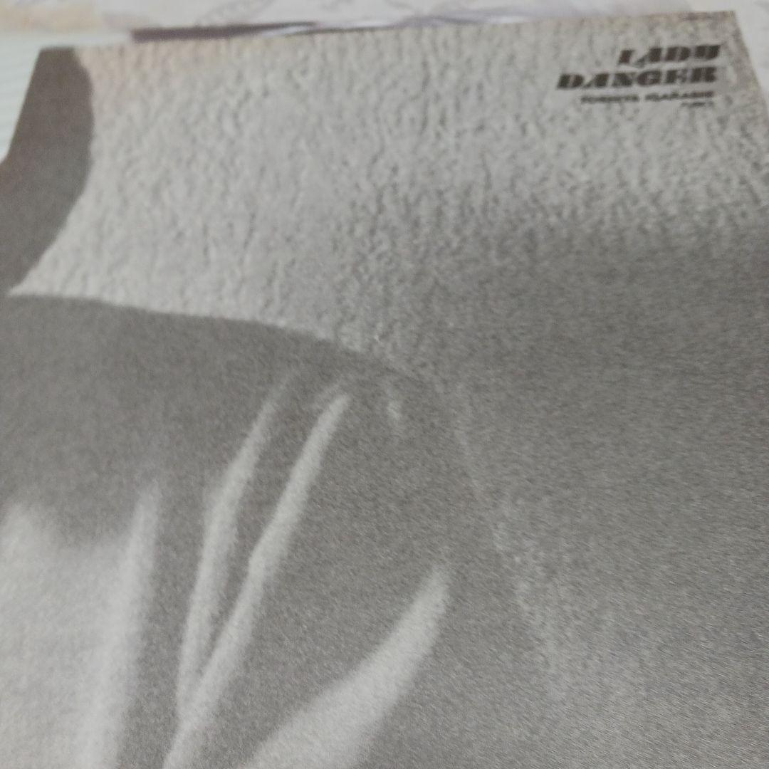 見本盤　Lady Danger Toshiya Igarashi レコード