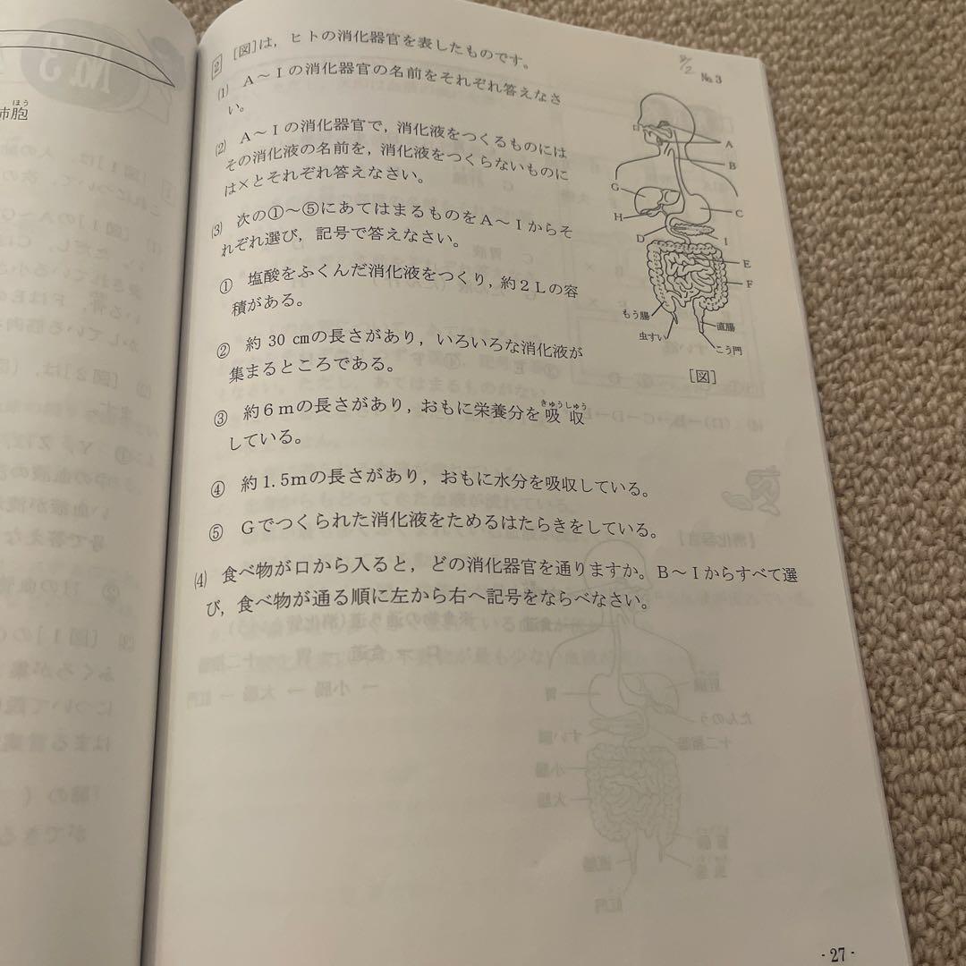 浜学園　小6 理科　暗記分野の踏破+暗記テキスト