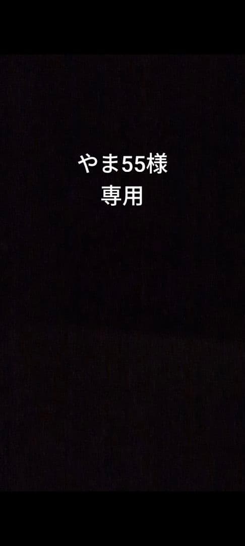 【やま55】スノーピーク　ヘキサイーズ1