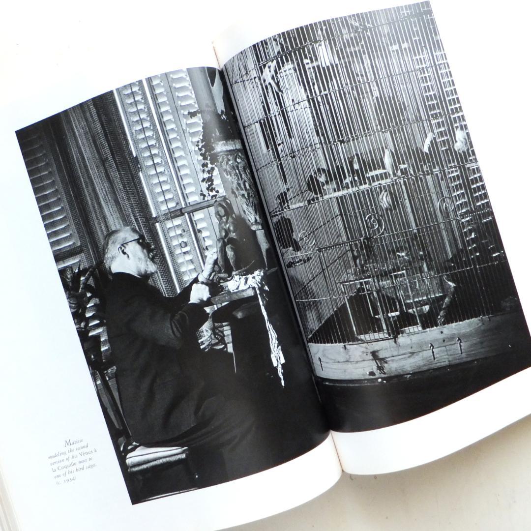 ブラッサイ　BRASSAI: The Artists of My Life