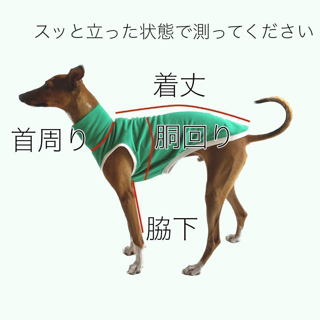 fractal bonbon  イタグレ服　 ボーダーTシャツ　3点