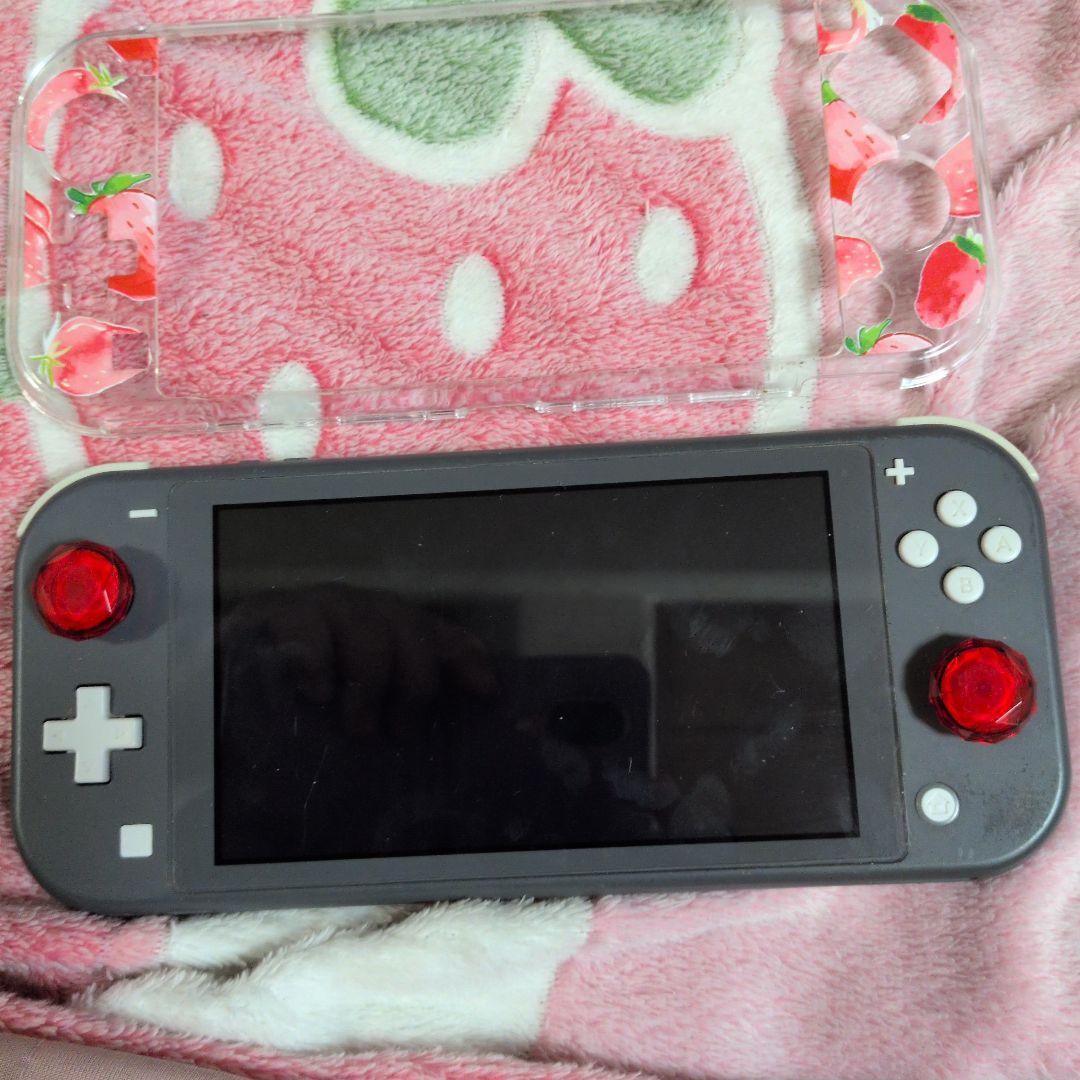 Switch Light スイッチライト ジャンク 本体 ブラック