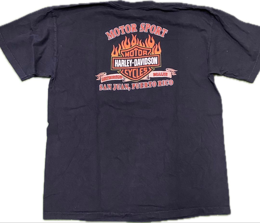 両面 HARLEY DAVIDSON イーグル&ウルフ フレイムTシャツ