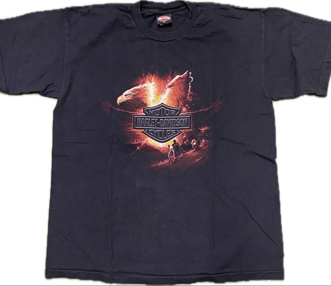 両面 HARLEY DAVIDSON イーグル&ウルフ フレイムTシャツ