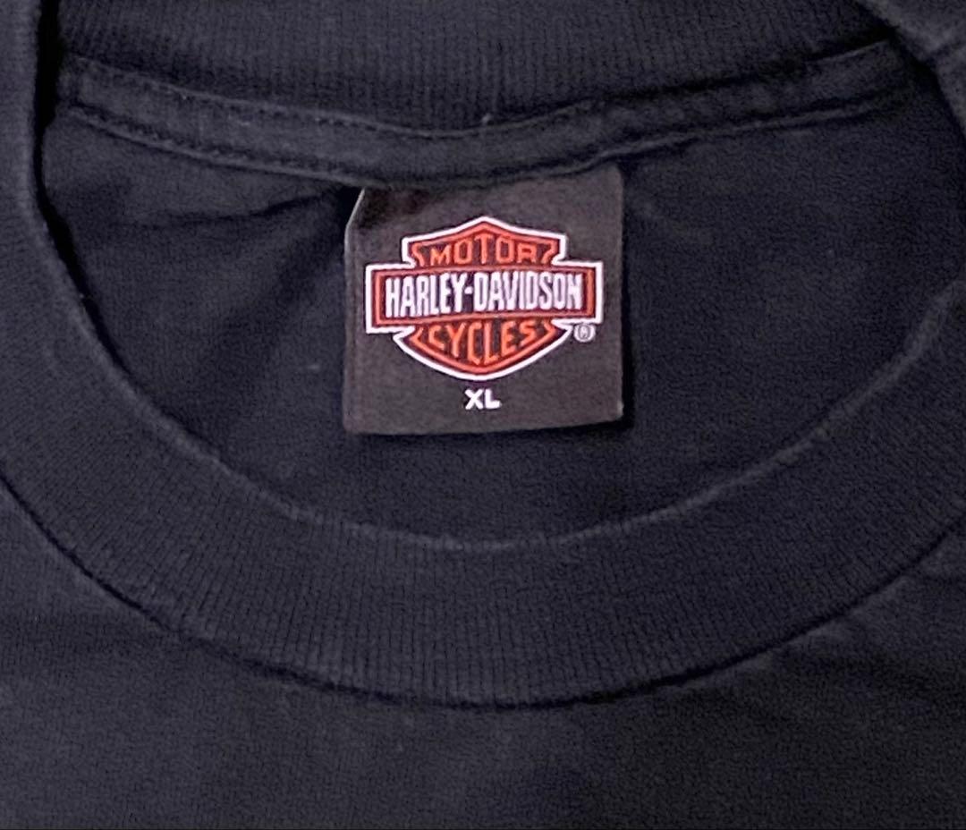 両面 HARLEY DAVIDSON イーグル&ウルフ フレイムTシャツ