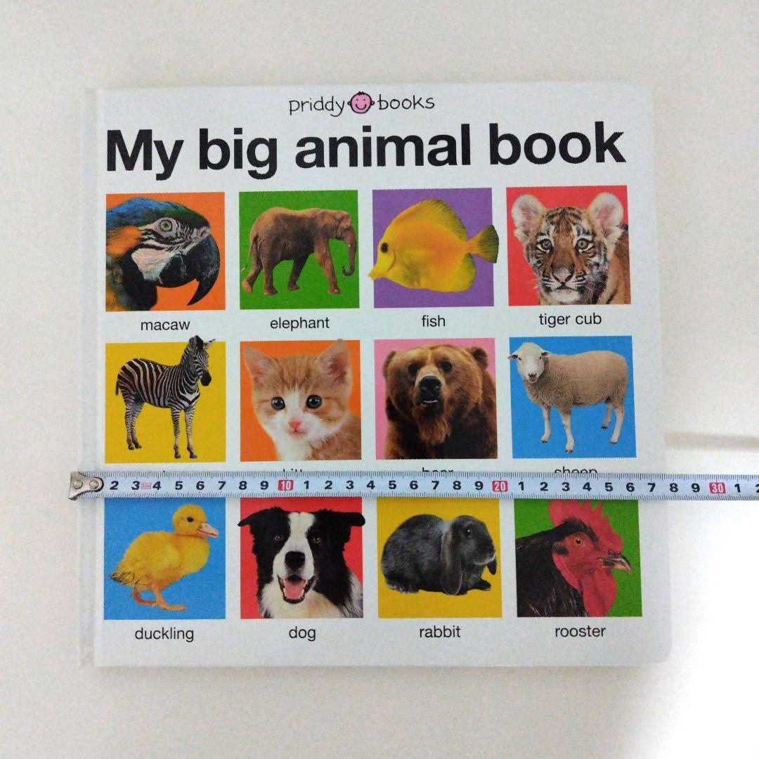 ☆商品確認用·在庫無し☆My big animal book　英語