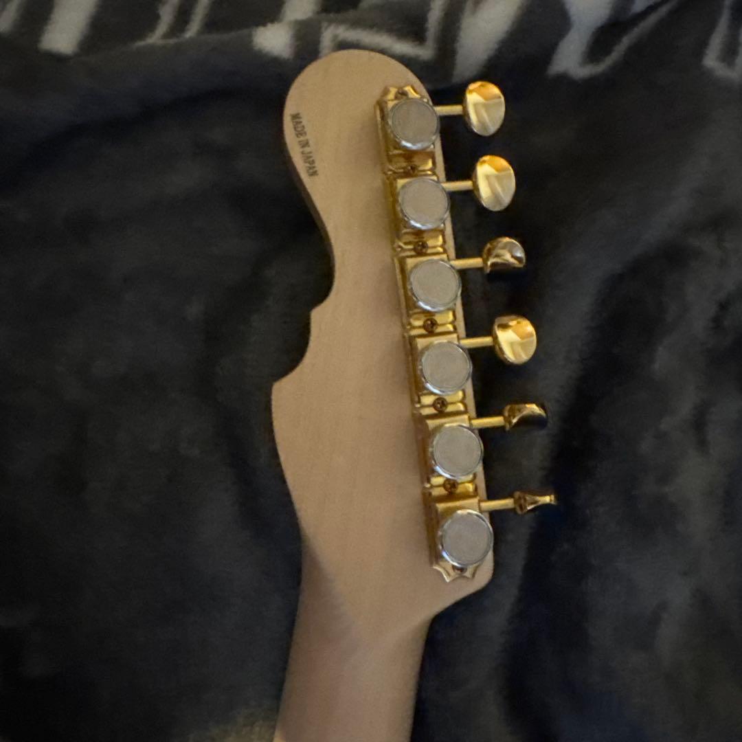 momose MJM-BC-’21WSE-B・POPLAR 2021年限定モデル