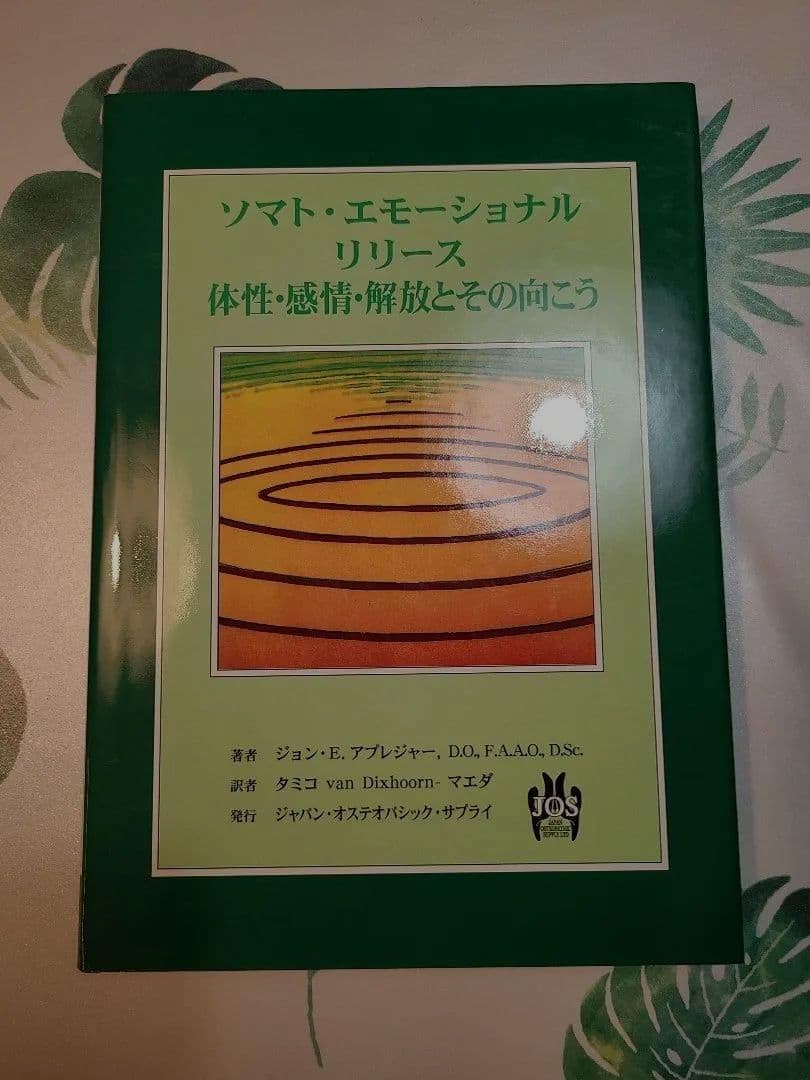 vitamin 2点