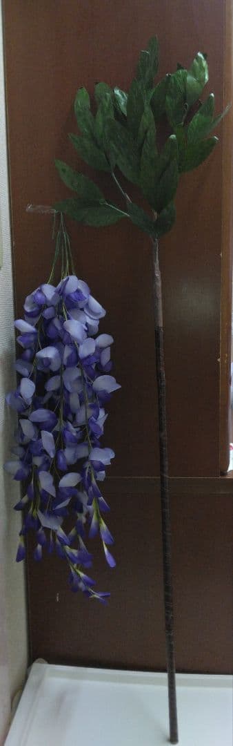 藤持枝5本房 扇子舞扇 日本舞踊 泉流 花柳流 藤間流 各流派