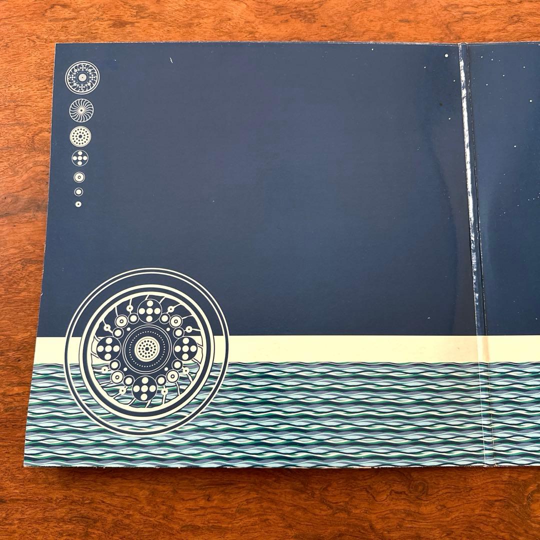 Orb-AuntieAubrey'sExcursionsBeyond LP4枚組
