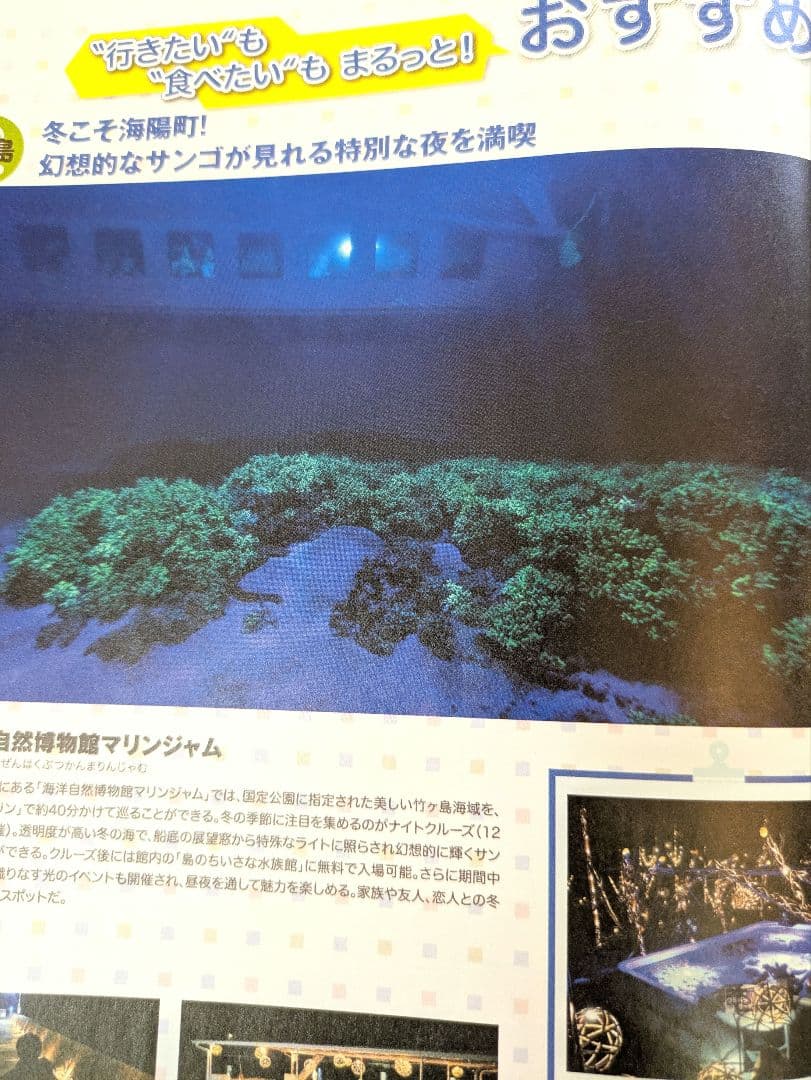 関西ウォーカー冬　関西ウォーカー大橋和也　関西本