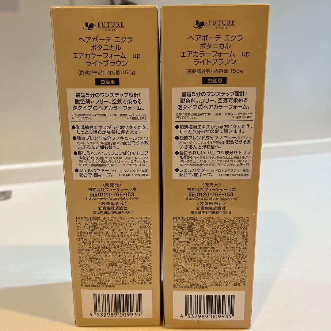 ヘアボーテ エクラ ボタニカルエアカラーフォームupライトブラウン150g×2本