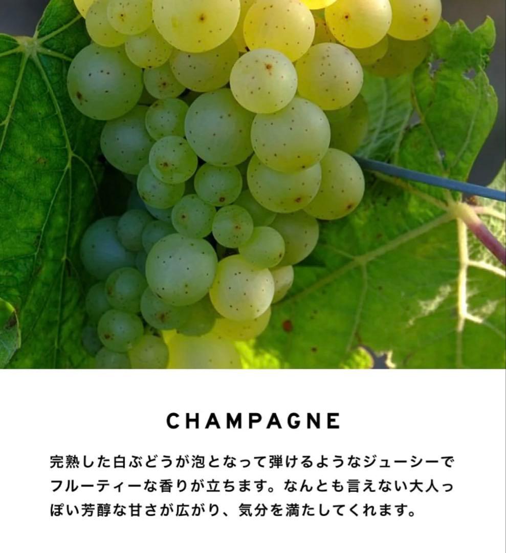 ボディクリーム SHOLAYER BODY SPRAY CHAMPAGNE 100mL