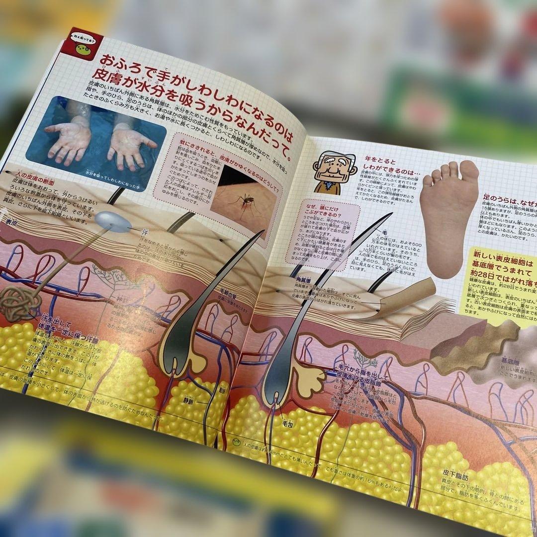 【美品】図鑑　科学の読み物12冊セット定価28000円分