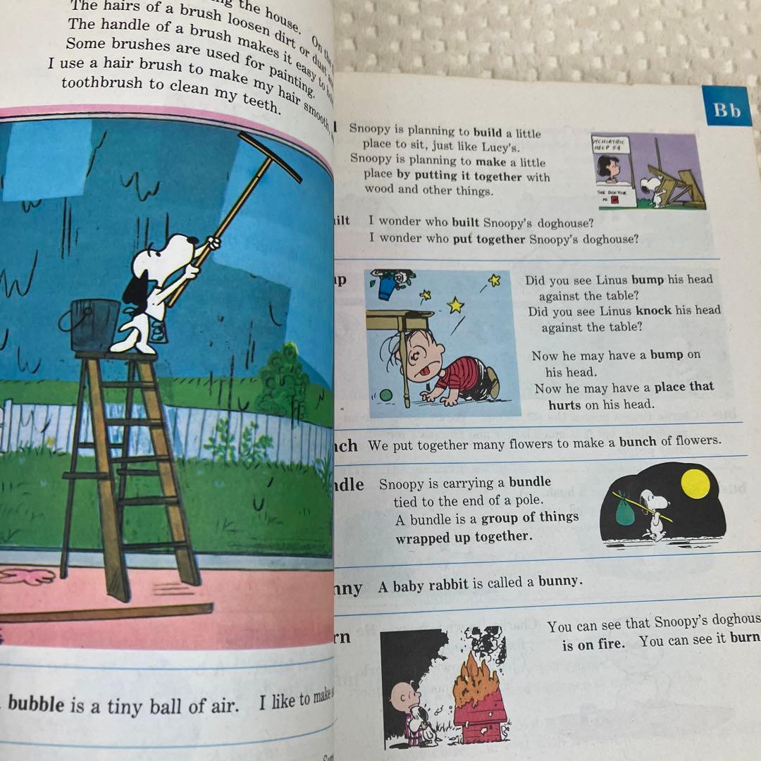 The Charlie Brown Dictionary スヌーピー 英語辞書