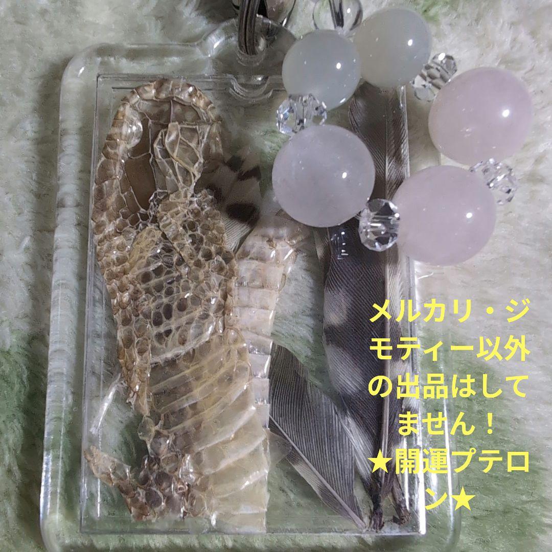 開運　呪物　曰く付き　珍品コゲラの羽とアオダイショウの皮と天然石付きキーホルダー