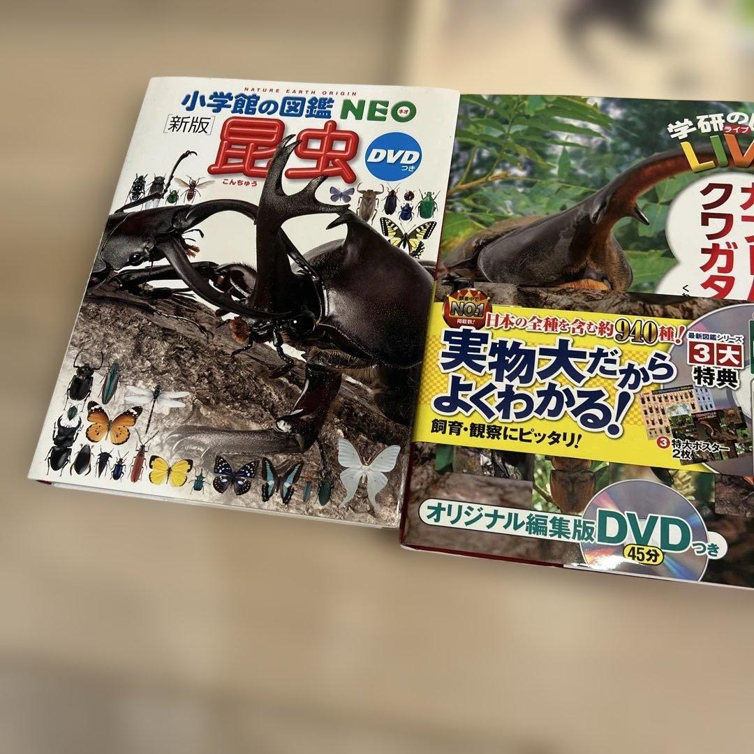 カブトムシ　クワガタムシ　昆虫　図鑑など