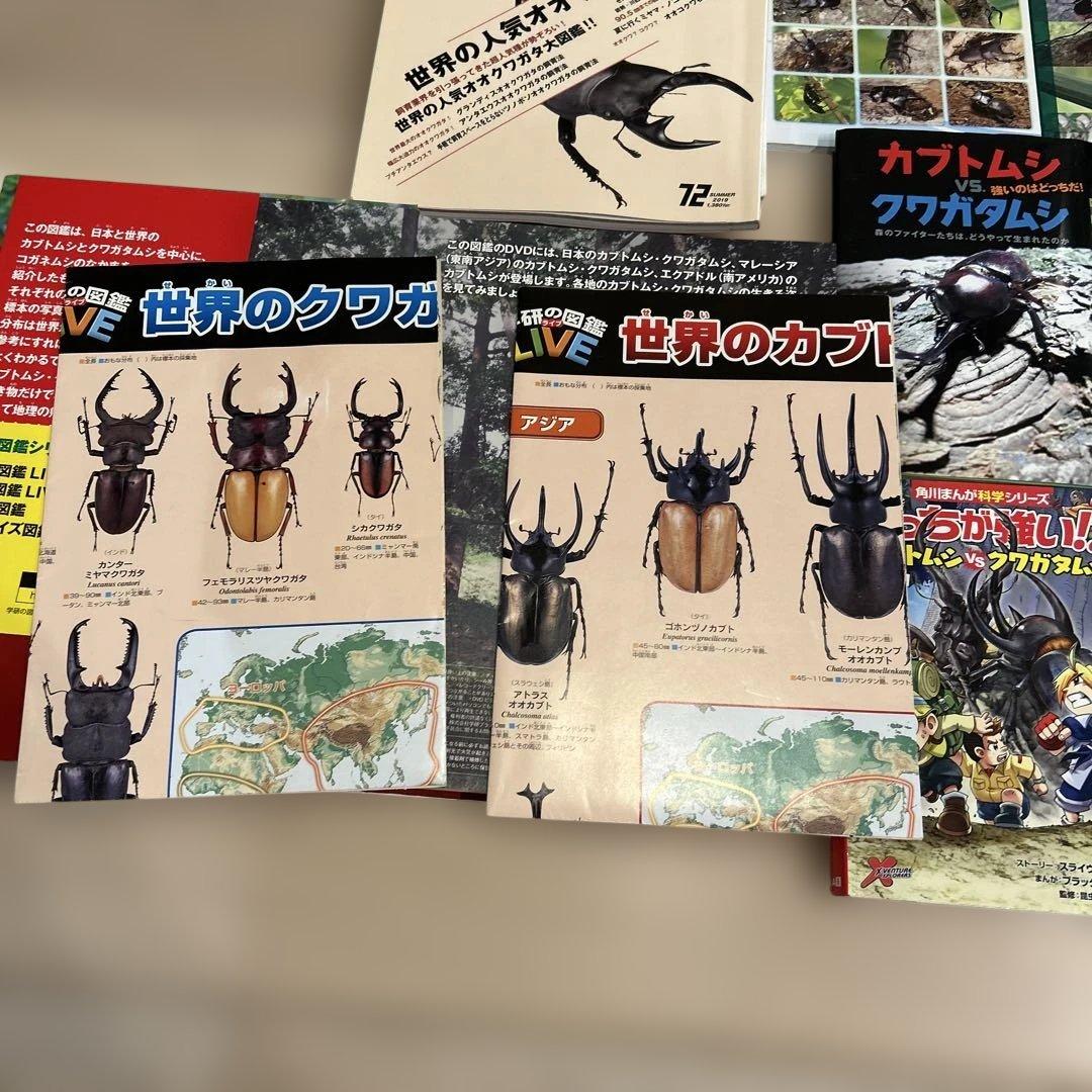 カブトムシ　クワガタムシ　昆虫　図鑑など