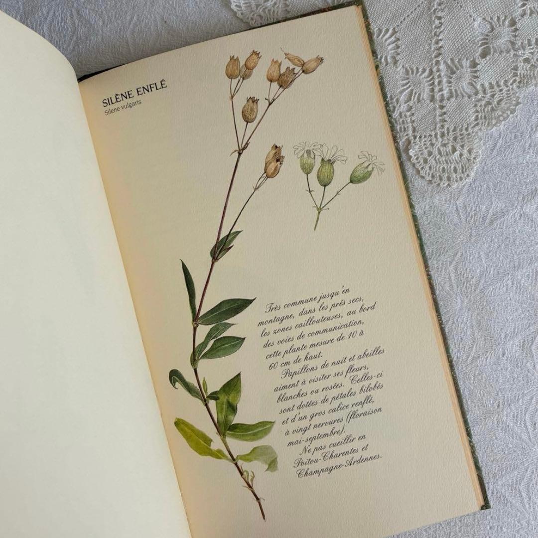 【希少・美品】1990年 美しいフランス植物図鑑　ナタン社　NATHAN