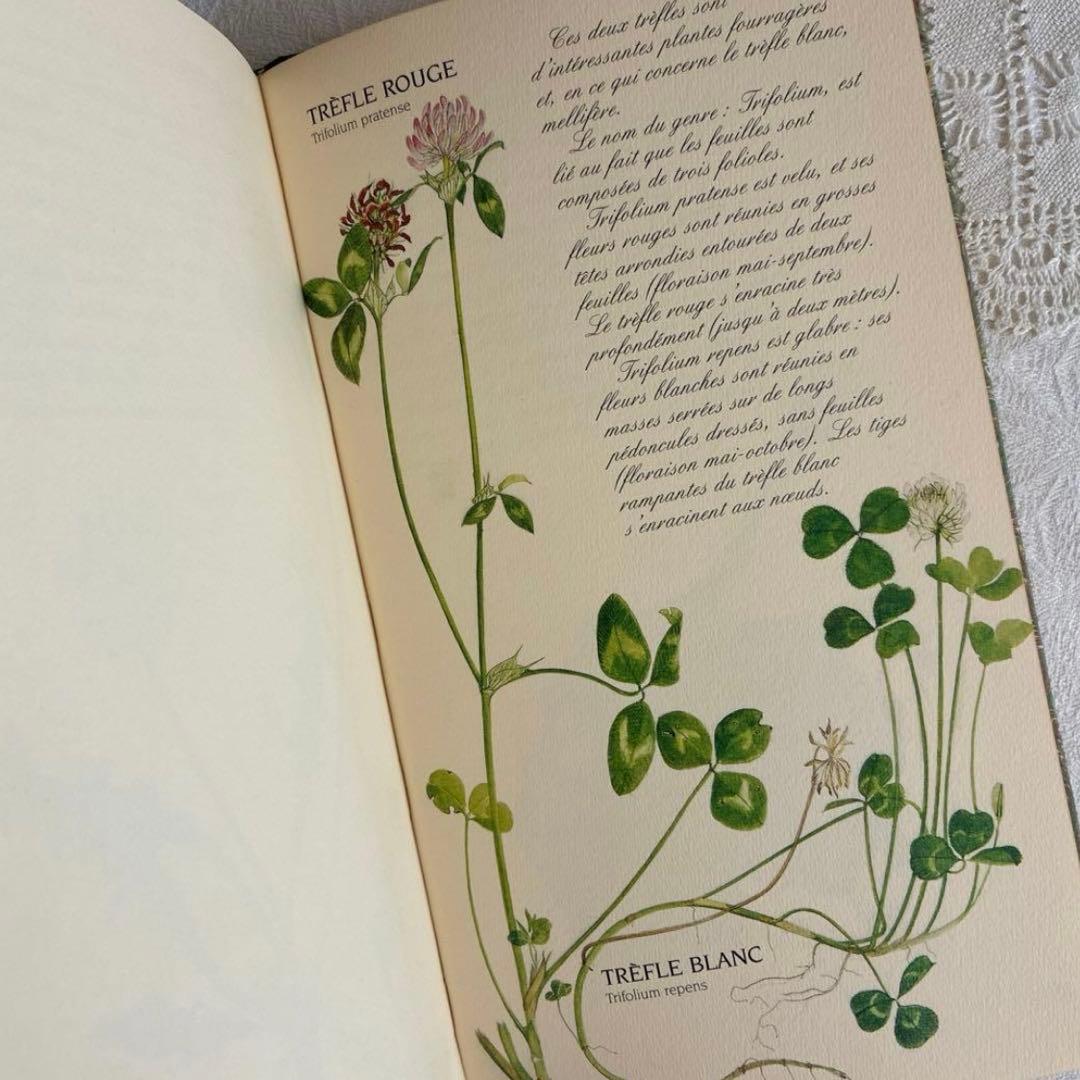 【希少・美品】1990年 美しいフランス植物図鑑　ナタン社　NATHAN