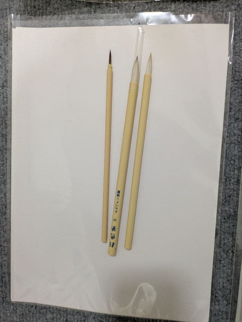 植物画講座教材セット+スケッチブック大中小+ボタニカル絵の具画材一式