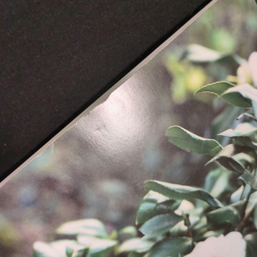 A-CHANG 写真集 Picture アーチャン 2002年