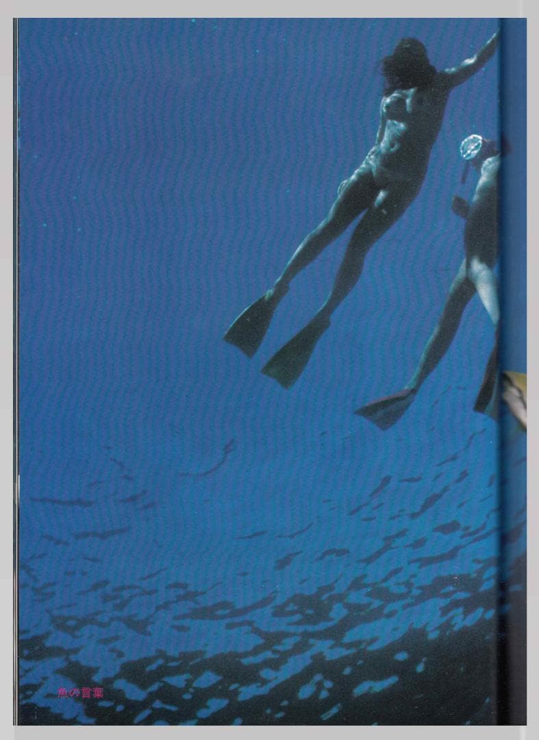 館石昭 撮影 海のオリビア アート写真集
