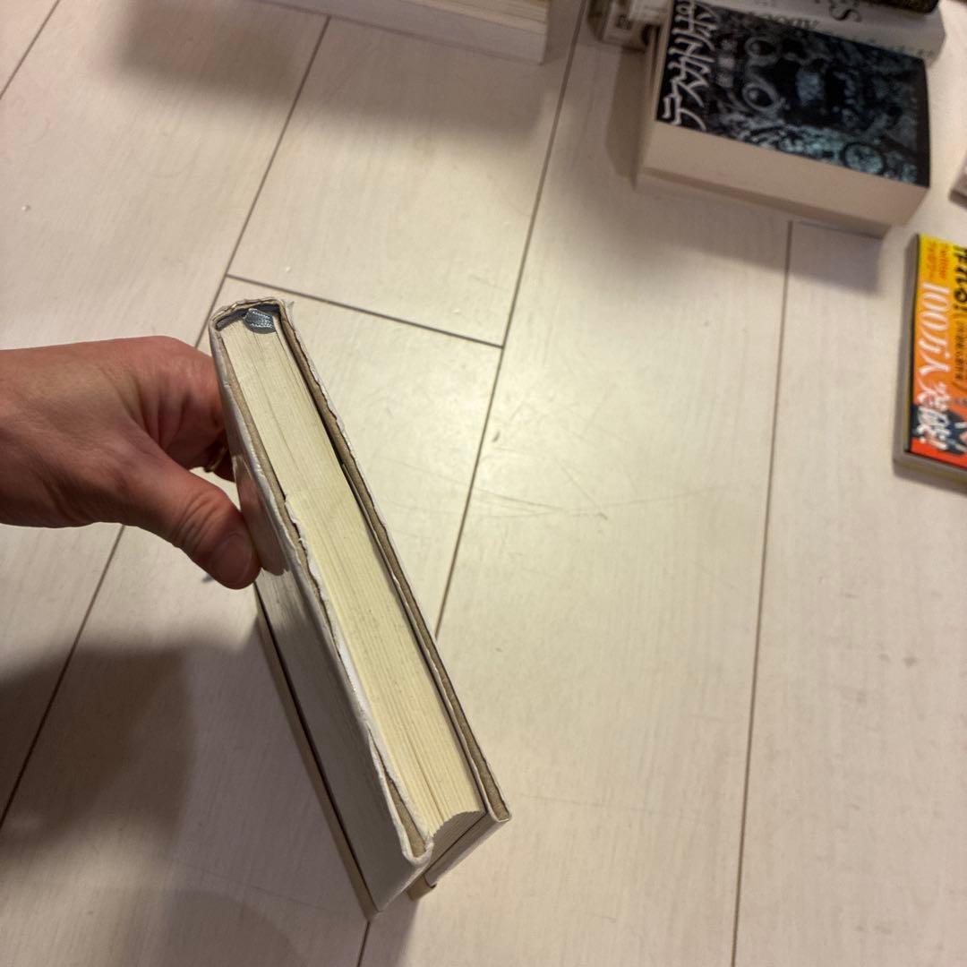 すべてがちょうどよいところ HAVING EVERYTHING RIGHT