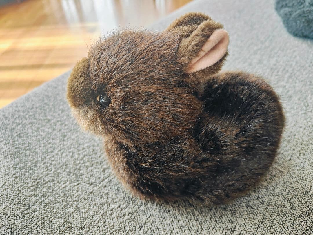 やまね工房　アマミノクロウサギ　ぴょん太　ぬいぐるみ　ウサギ
