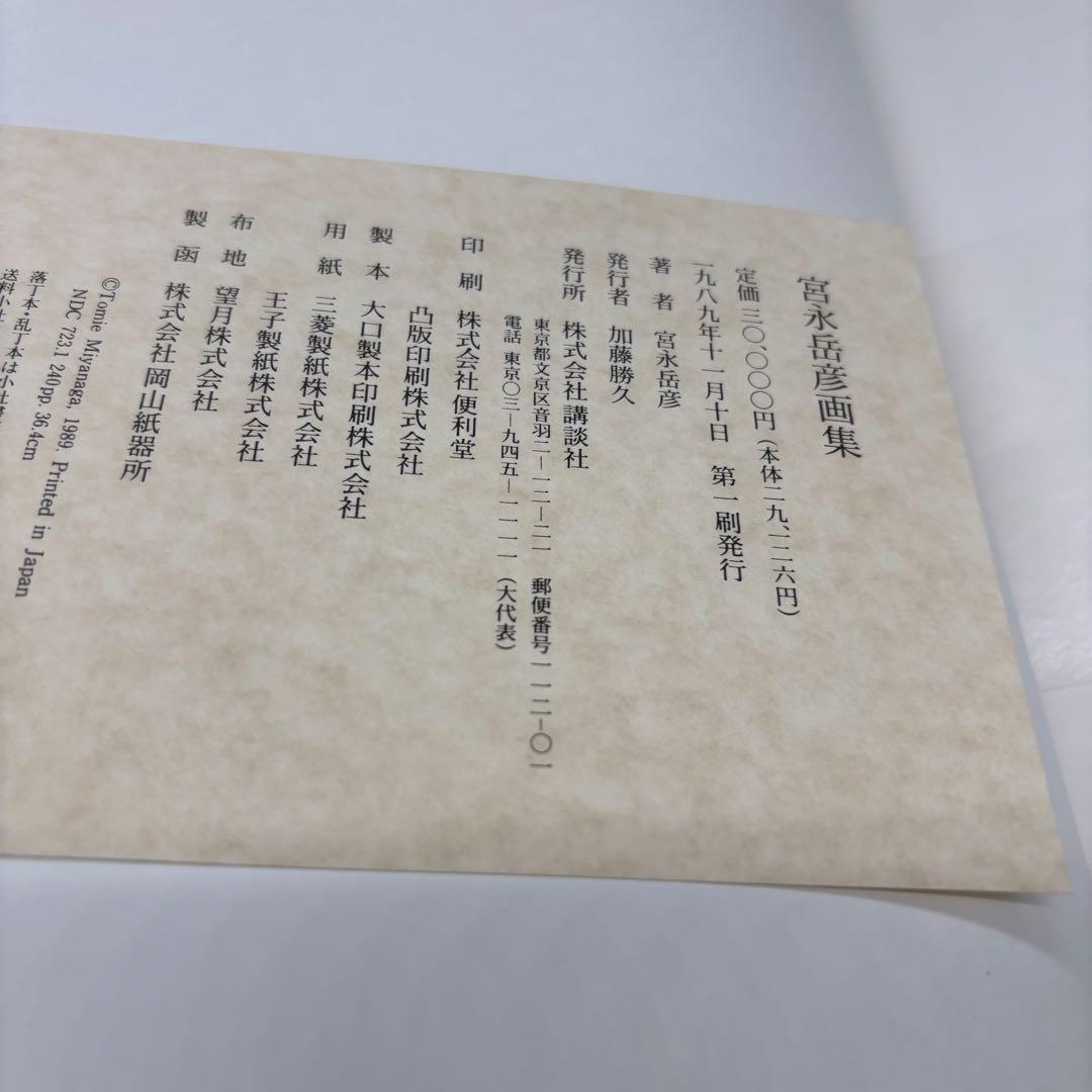【希少な美品】宮永岳彦 画集
