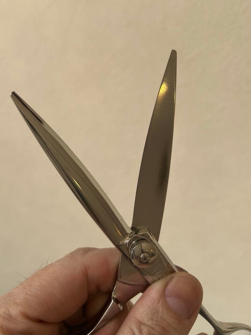 ネットワークシザー　ほぼ未使用　笹刃　美品 ヴァルス 6インチ