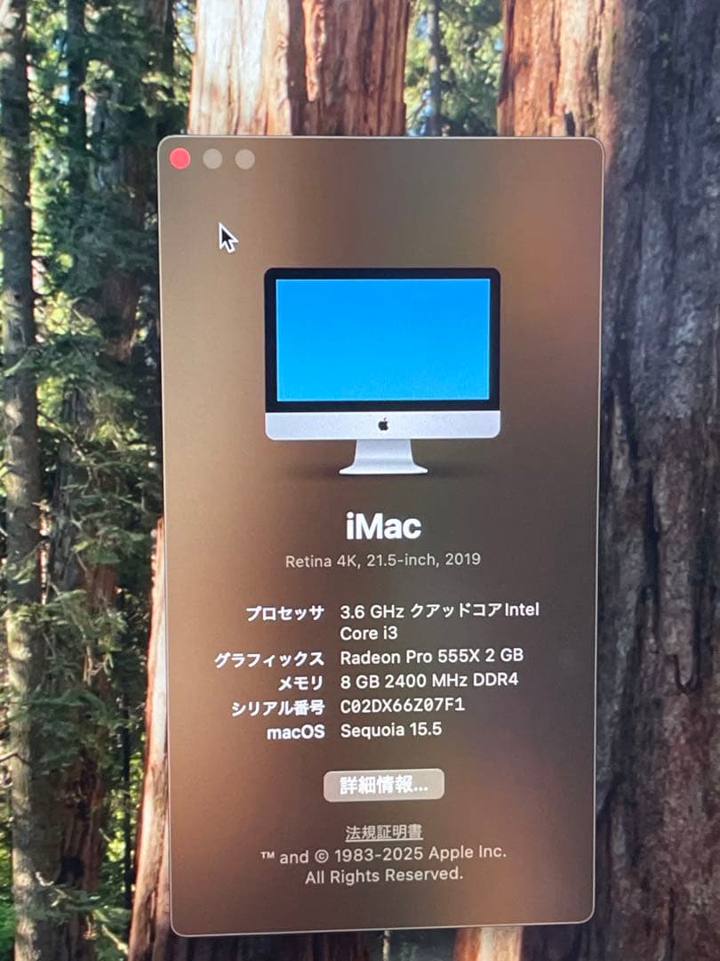 iMac 2019 21.5インチ 4K Core i3 8GB 256GB
