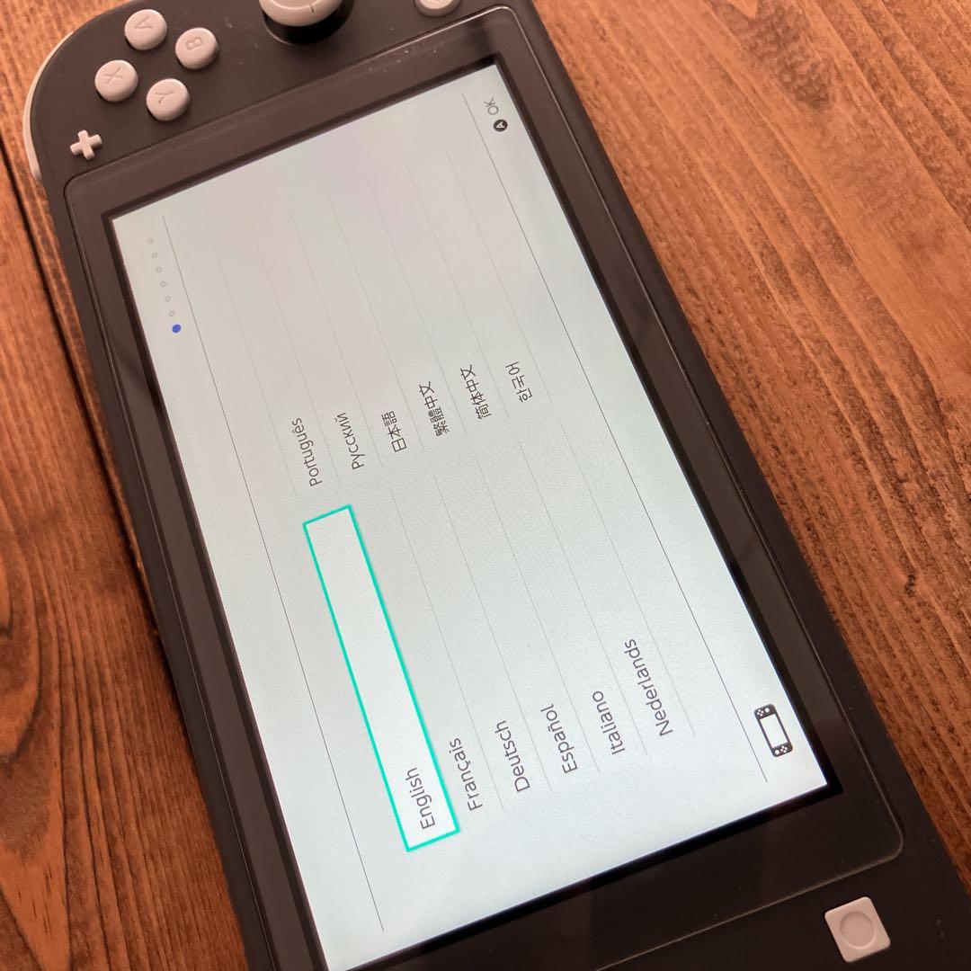 【良品】Nintendo Switch Lite グレー 充電器