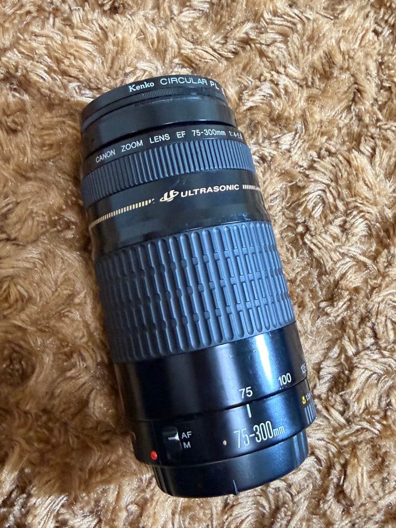 Canon EF 75-300mm ウルトラソニック ズームレンズ