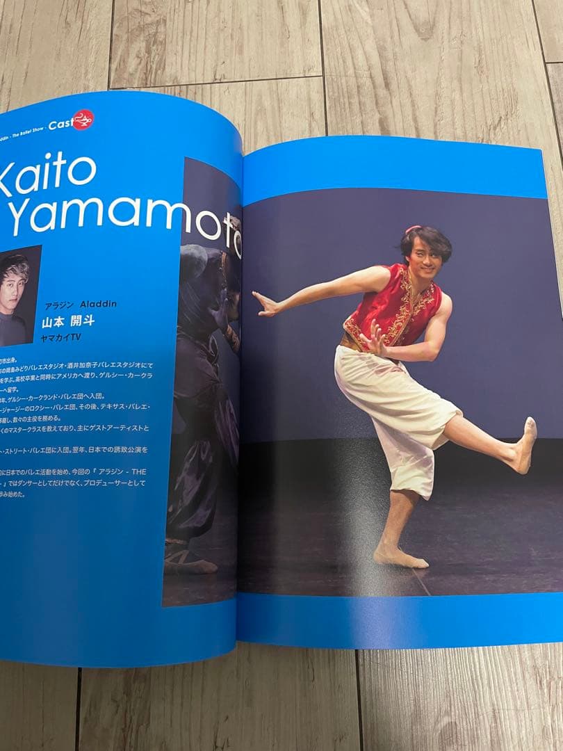 【希少】ヤマカイTVアラジンThe Ballet Show DVD＆パンフレット