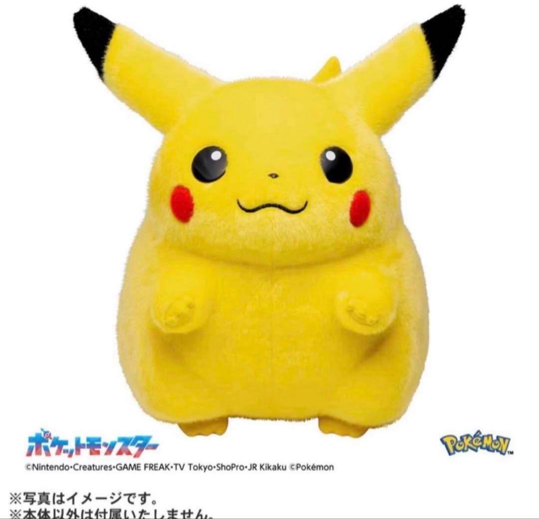2個セット ポケットモンスター ポケモン30周年記念 おかえり！ピカチュウ