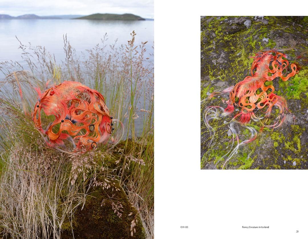 Tomihiro Kono: Fancy Creatures 河野富広
