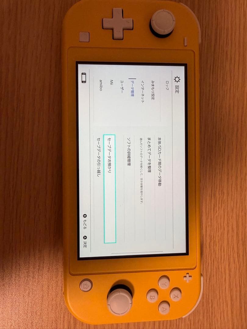 Nintendo Switch Lite microSD 64GB・ケース付き