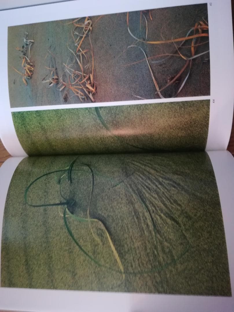 砂丘の幻想 1975 田賀久治　井上靖　写真集