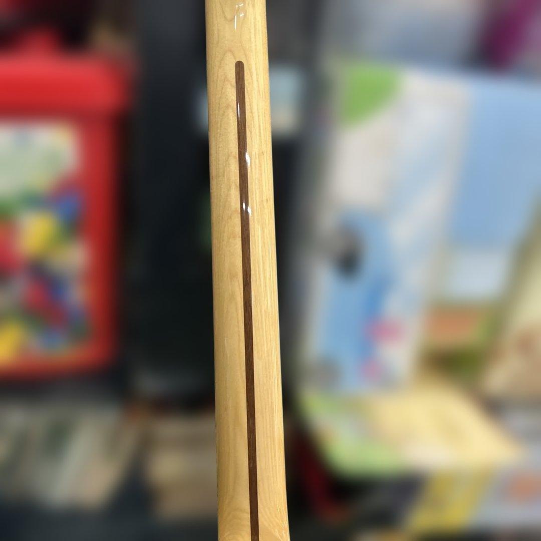 バイオレンス田中Fender Telecaster Thinline