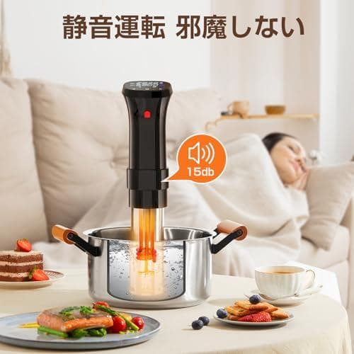 低温調理器 1100Wハイパワー 低温調理器具 24時間 予約機能 真 M223