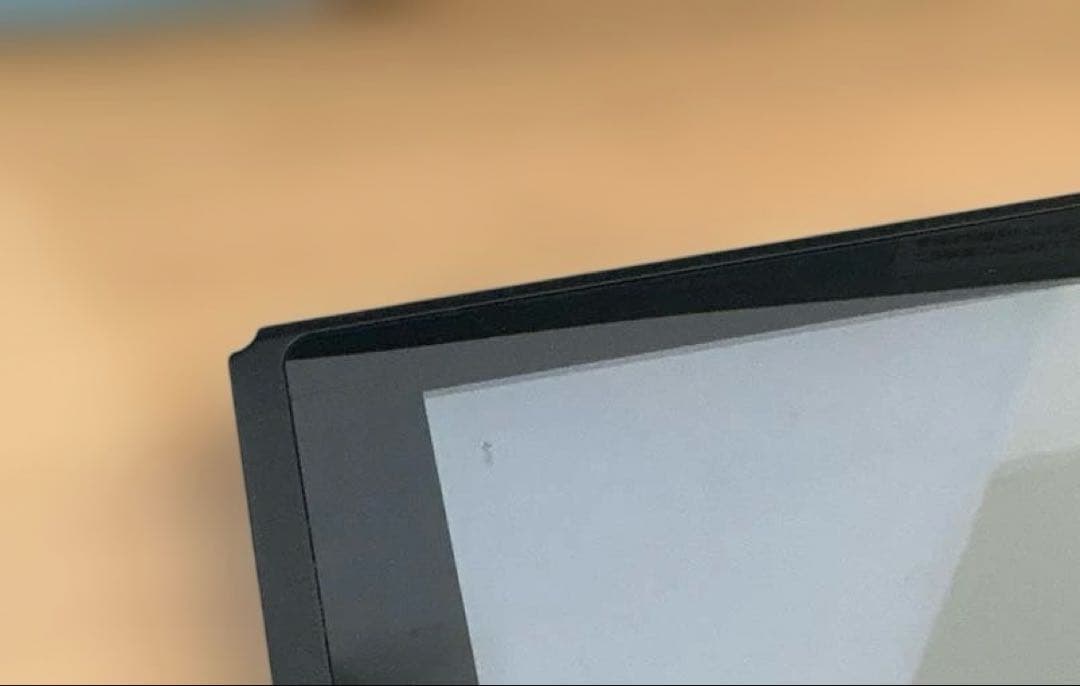 Nintendo switch あつまれどうぶつの森セット